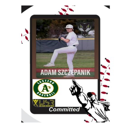 player profile picture