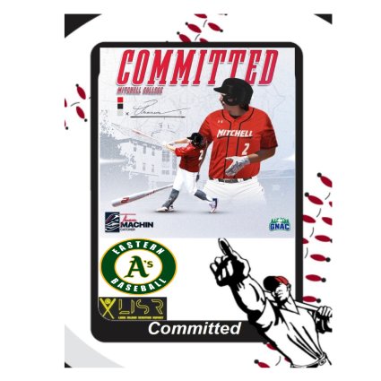 player profile picture