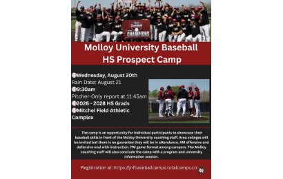 Molloy University Baseball HS Prospect Camp