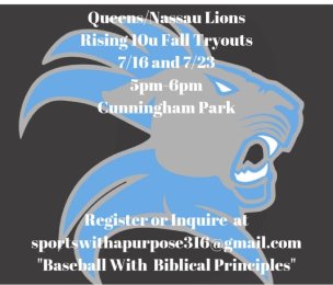Queens/Nassau Lions Travelball