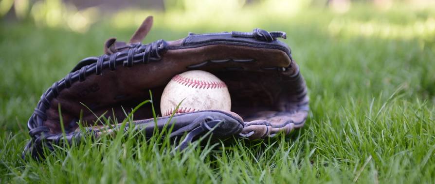baseball in glove on grass